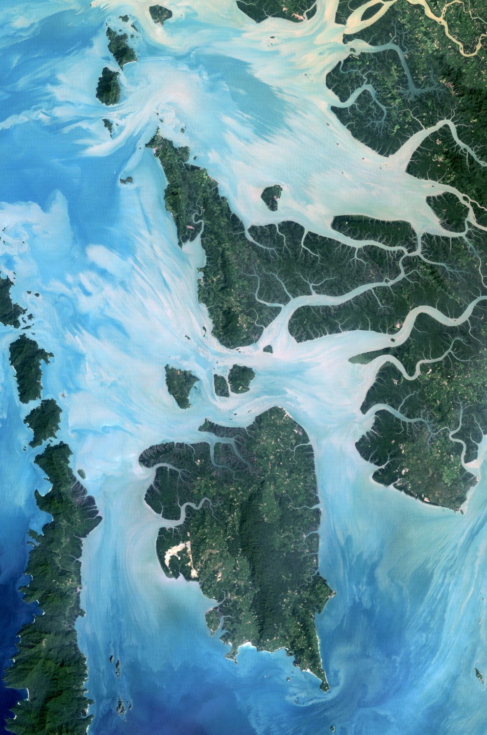 Page couverture de Maitriser le développement sous Google Earth Engine