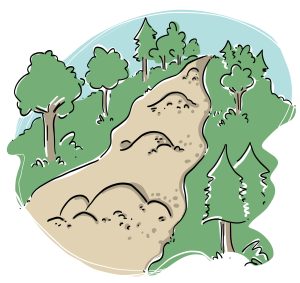 Un sentier entre deux rangées d’arbres, le chemin comporte des bosses par endroits.