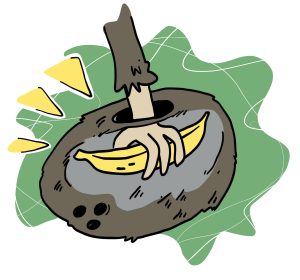 Une main plongée dans une noix de coco. Nous pouvons voir qu’à l’intérieur de la noix de coco se trouve une banane que la main tient.