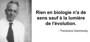 Le biologiste Theodosius Dobzhansky et sa citation : « Rien en biologie n’a de sens sauf à la lumière de l’évolution ».