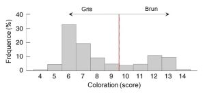 L’histogramme de la distribution de fréquence du score de coloration brune a des valeurs allant de 4 à 14. La distribution est bimodale, avec 30% des individus ayant un score de coloration de 6, ce qui est considéré comme un morphe gris et un deuxième mode d’environ 10% pour le score de coloration 12, considéré comme un morphe brun. Les fréquences les plus basses sont autour des score de coloration 9 et 10, et les auteurs ont divisé les individus en un morphe ou l’autre en utilisant cette valeur comme séparation.