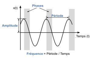 Graphique présentant deux cycles d’oscillation d’une variable en fonction du temps. La période est présentée comme le temps entre le début et la fin d’un cycle. L’amplitude est calculée comme l’écart entre la valeur maximale et la valeur moyenne du cycle. La fréquence est égale à la période divisée par le temps. Des zones grisées à intervalle régulier représentent une phase.