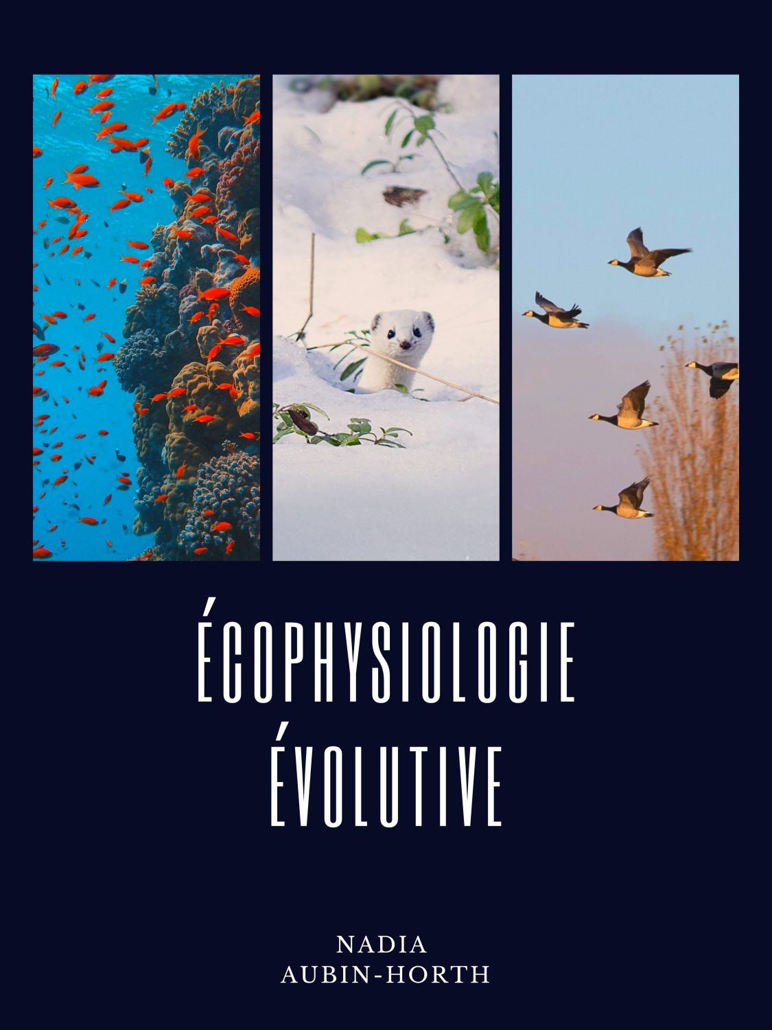 Page couverture de Écophysiologie évolutive 