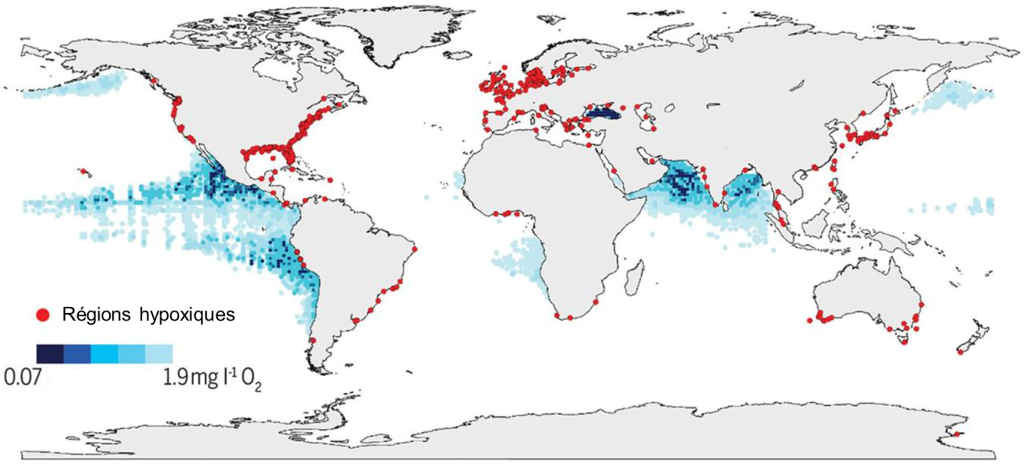 Carte du monde montrant les zones où les concentrations d’oxygènes sont faibles. Les zones côtières sont réparties partout à travers le monde. Les zones océaniques sont davantage présentes dans l’océan Pacifique et dans l’océan Indien.